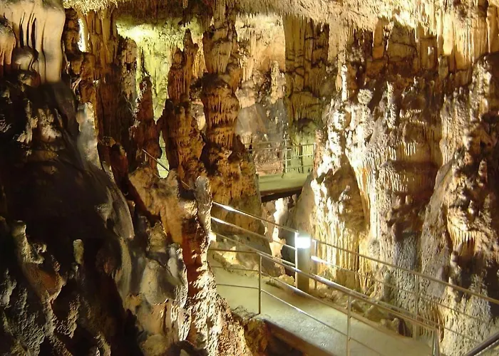 Happy - Dream On The * كلارجيفيكا